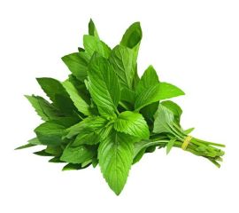 Зелень и пряные травы