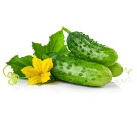 Огурцы