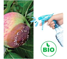 От болезней