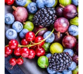 Плодовые кустарники