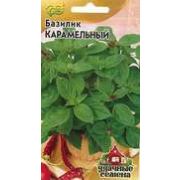 Базилик Карамельный\ГШ